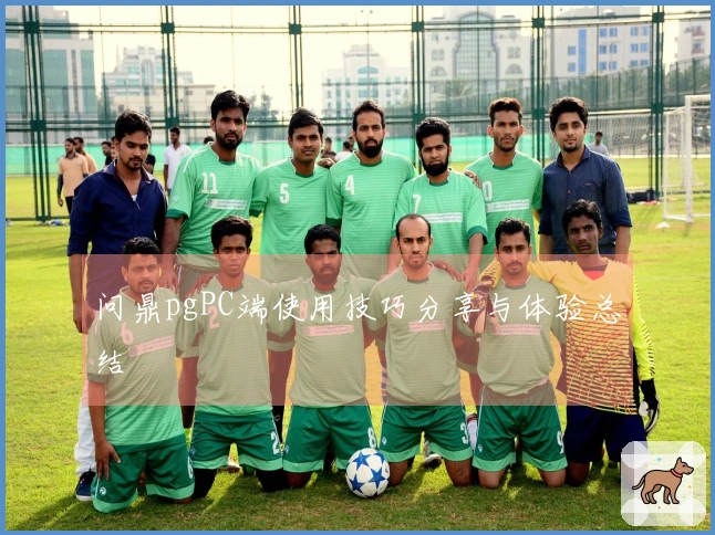 问鼎pgPC端使用技巧分享与体验总结