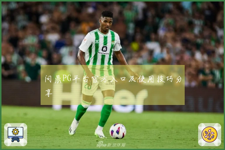 问鼎PG平台官方入口及使用技巧分享