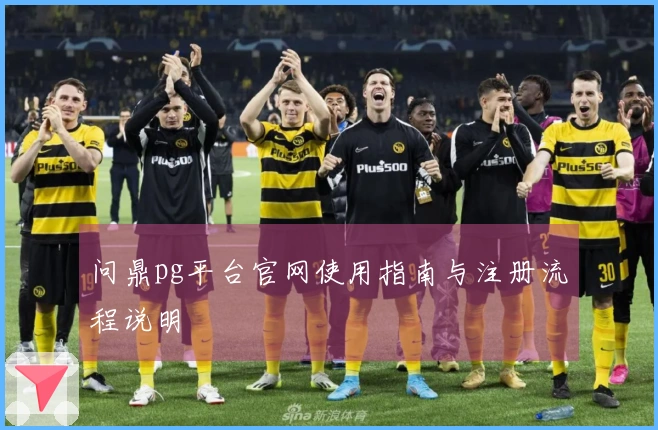 问鼎pg平台官网使用指南与注册流程说明