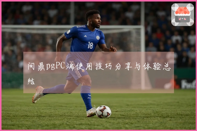 问鼎pgPC端使用技巧分享与体验总结