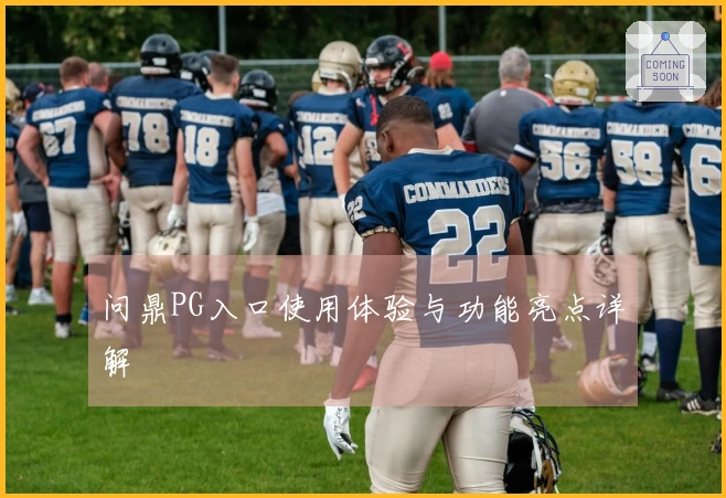 问鼎PG入口使用体验与功能亮点详解